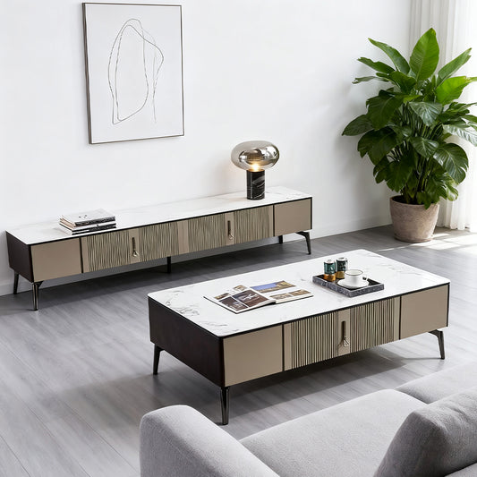 Modern Minimalist Coffee Table and TV Stand Combo