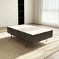 Modern  Coffee Table With Storage